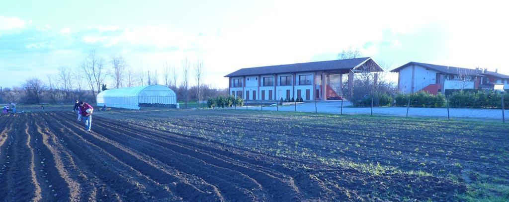 Agriturismo La Sforzata Collegno Ngoại thất bức ảnh